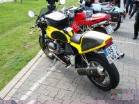 100D5546 (Small).JPG