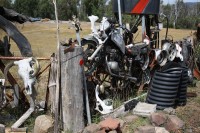 so kanns kommen, wenn man das falsche Motorrad fährt!