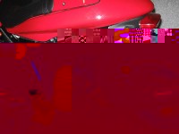 Nelly 227.jpg