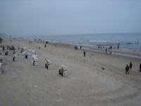 SAF 2009_02_03.JPG